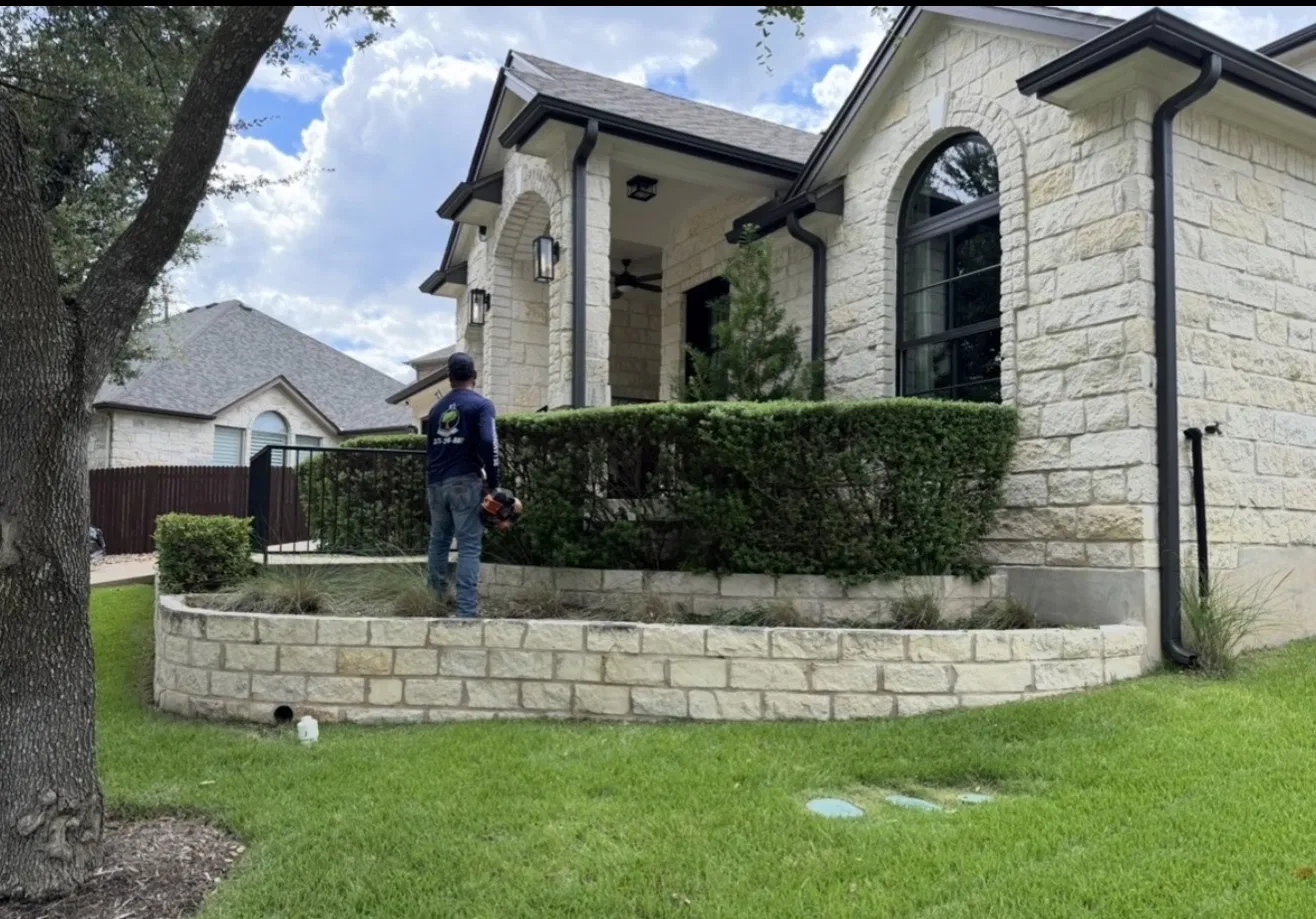 Hedge Trimming