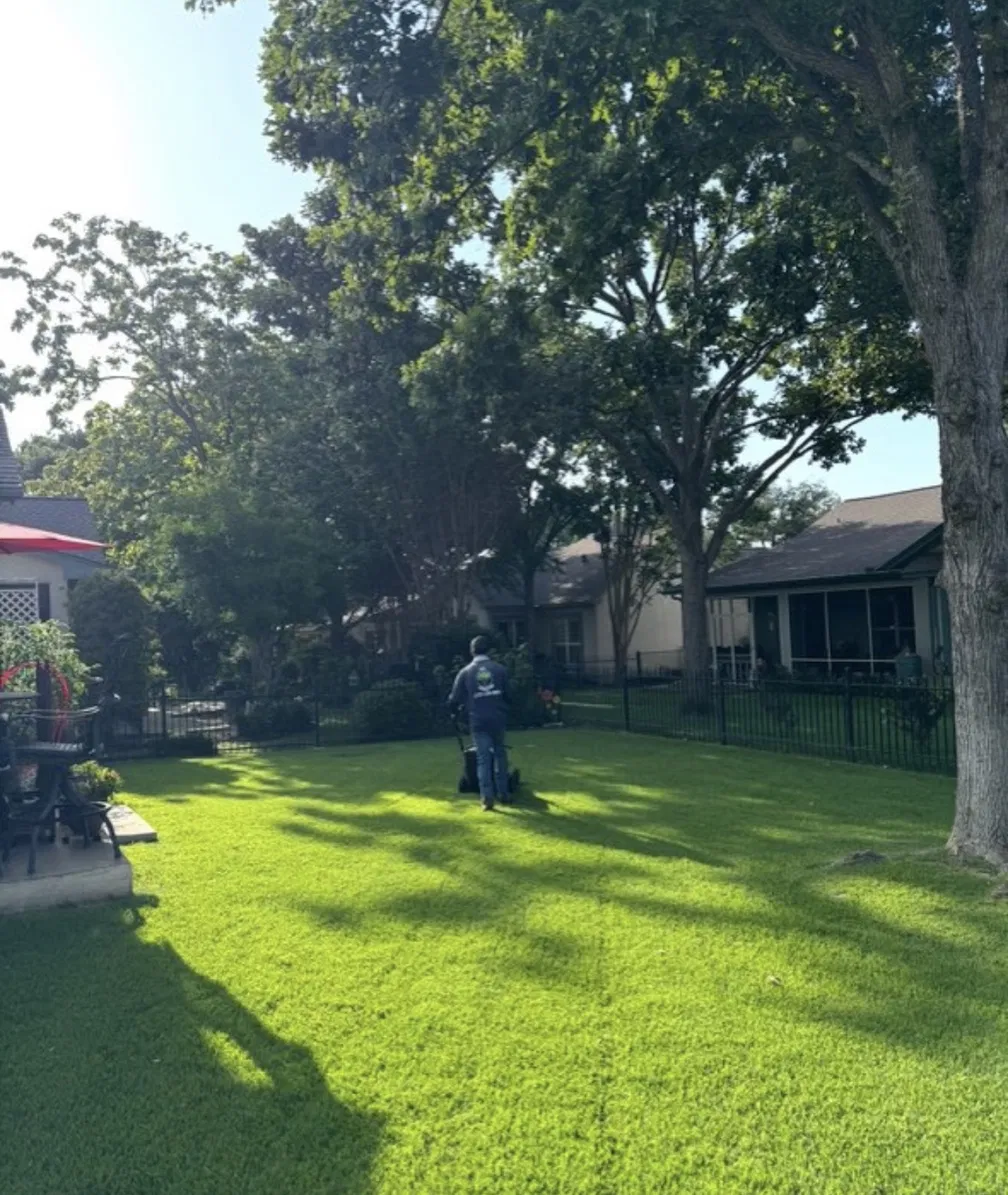 Lawn Mowing